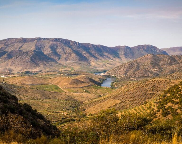 La Influencia Volcánica en los Vinos Canarios con Sanriver.es – Rutas Culturales en Gran Canaria, Rutas Culturales en Las Palmas, Rutas Culturales en Canarias